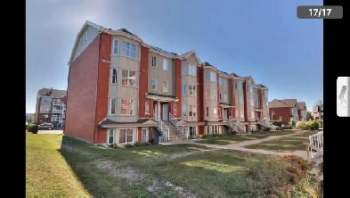 Condo 2 chambres à louer - Quartier C, Brossard Image# 1