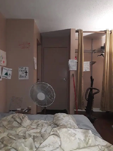 Large room for rent Ottawa South Oct 1st Image# 1