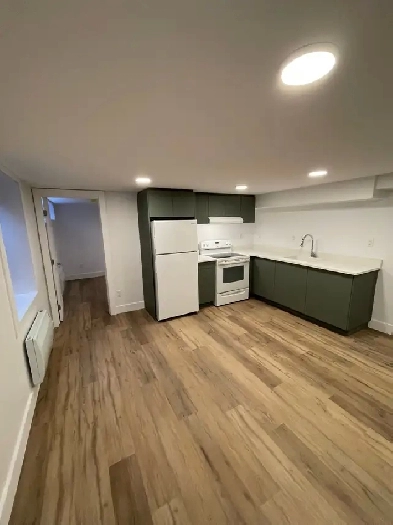 One bedroom in 2 bedroom basement unit Image# 1