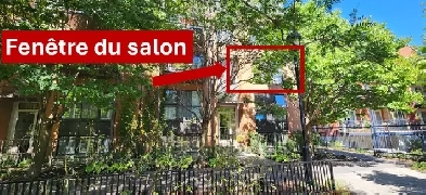 4 et 1/2 tranquille au métro Laurier Image# 1