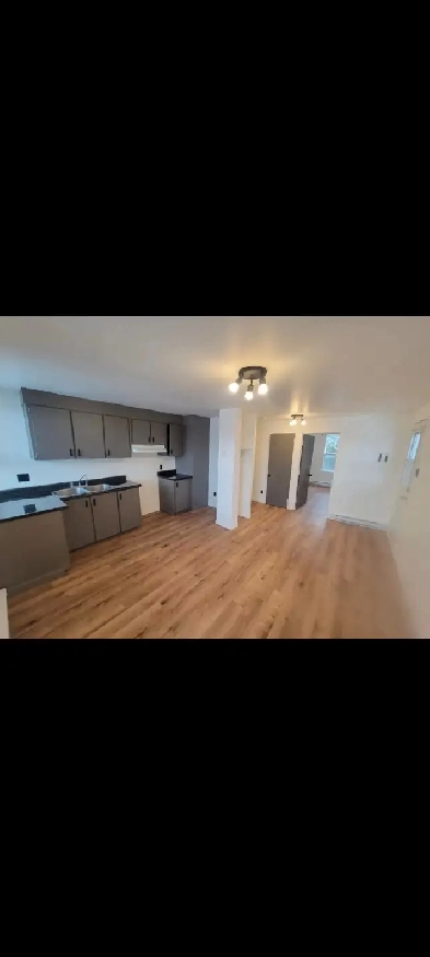 Logement 3 1/2 Image# 1