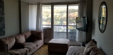 3 1/2  Plateau Mont-Royal TOUT inclus Parking-Piscine-Gym Image# 1