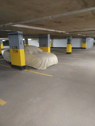 Car Parking/Storage for rent | Stationnement/Entreposage à louer Image# 1