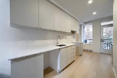 Grand 5 ½ à louer dans le quartier Maisonneuve Image# 1