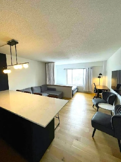 Superbe loft en plein coeur de Québec Image# 1