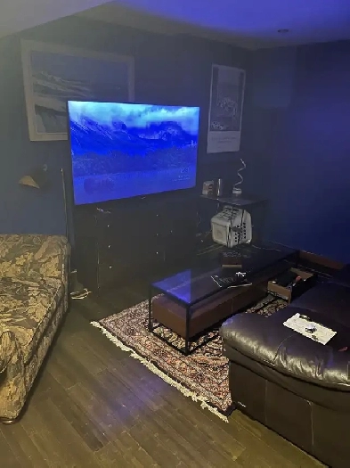 Charming basement apartment 100 m from Western Image# 1