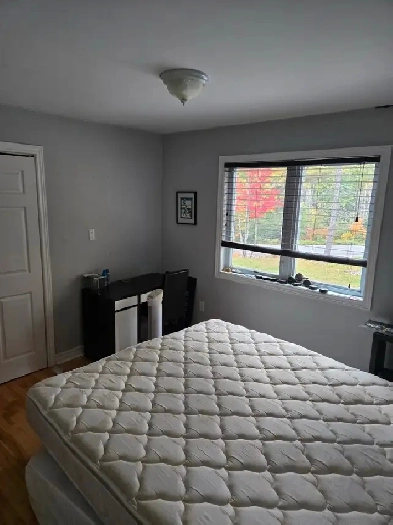 Room for rent Image# 1