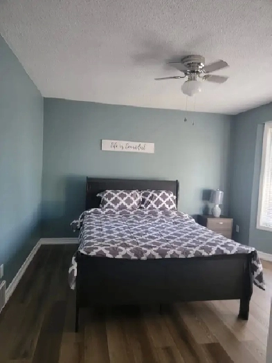 Large spacious bedroom with own bathroom for rent Image# 1