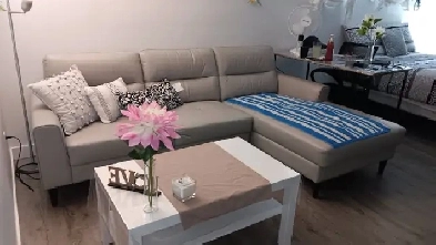 $900/MONTH: HUGE, FULLY FURNISHED A PRIVATE ROOM FOR RENT