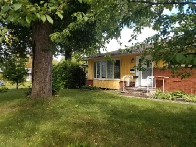 Bedroom close to Algonquin college available Oct 1 Image# 1