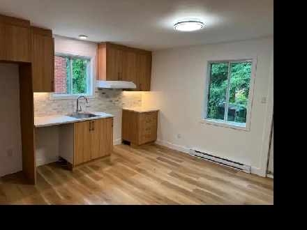 4 1/2 à louer à Laval-des-Rapides Image# 1