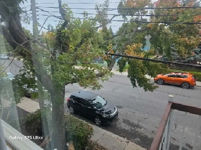 Chambre à louer Anjou Image# 1
