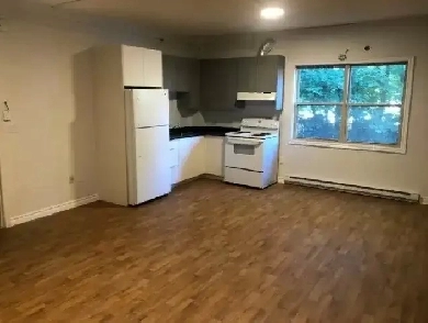 Ready Now Green St Large 2 Bedroom Apartment All Inclusive!