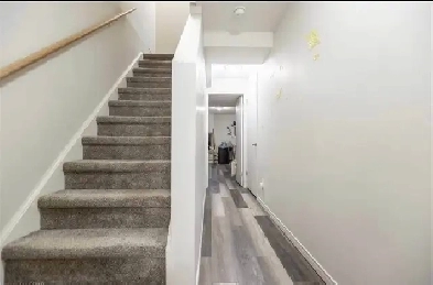 Basement Room Available for Rent Image# 3