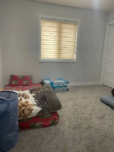 Room for girls in Londy Image# 1