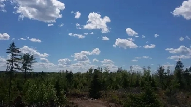 25 Acre Camp, Fundy NB Image# 1