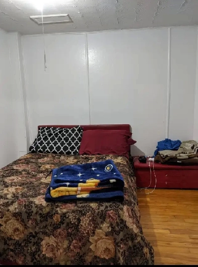 Spacieux Lumineux 3 1/2 , disponible 1 octobre Image# 1