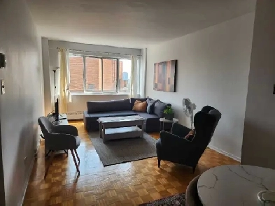 Grand 4.5 tout meublé, internet, chauffage, électricité compris Image# 1