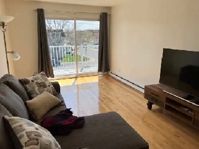 Longueuil, Fréchette grand 41/2 a l'étage ou au demi sous-sol Image# 1