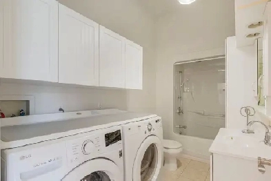 Appart 4 demi - Montreal Rosemont-La Petite-Patrie Image# 1