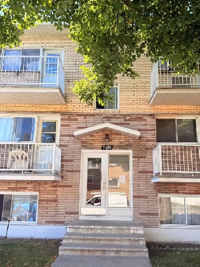 Grand 41/2 a Anjou proche de tous libre maintenant Image# 1