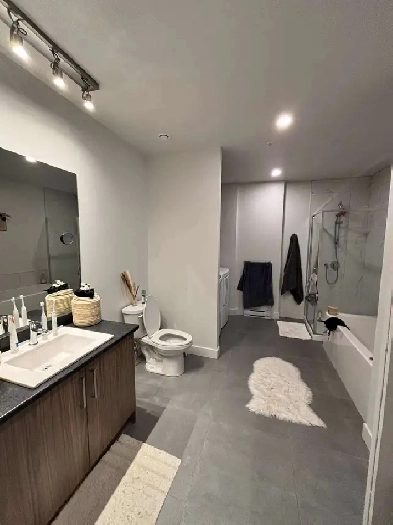 Appartement 3 1/2   bureau à louer Internet/Locker/Parking Image# 1