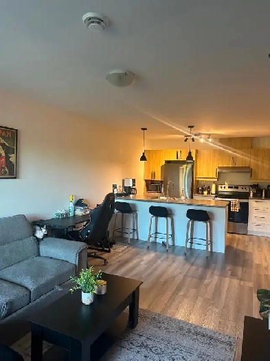 Appartement à Louer Image# 1