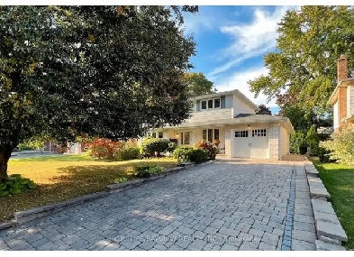 2-Bedroom Basement for rent Image# 1