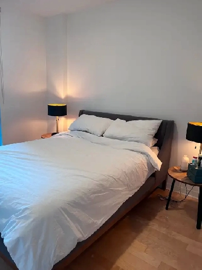 3 1/2 - LEASE TRANSFER - NOV 1st Image# 1