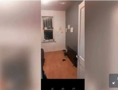 Units for rent on beacon street Image# 1