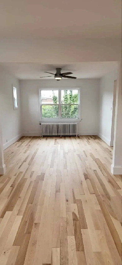 Appartement à louer Limoilou Image# 1