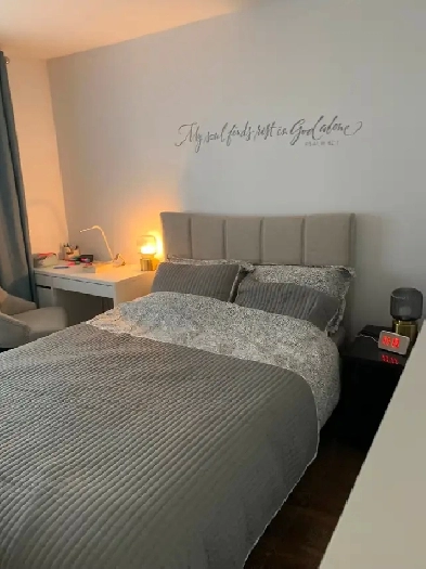 LOGEMENT AIRE OUVERTE / OPEN CONCEPT APARTMENT Image# 1