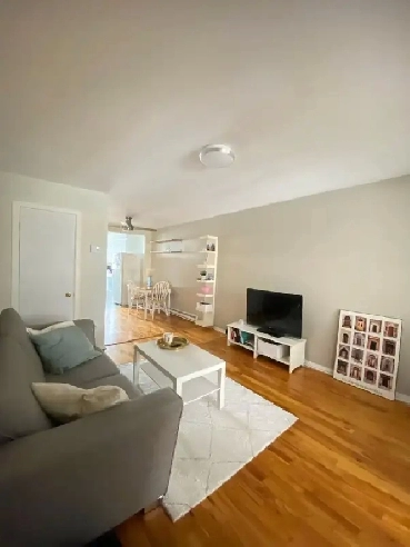 3 1/2 Meublé, Métro Rosemont, Rénové, 1er nov Image# 1