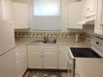 ONE BEDROOM BASEMENT SUITE FOR RENT- OCT. 1 Image# 1