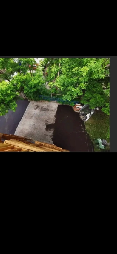 Room available in Centretown apartment! Image# 1