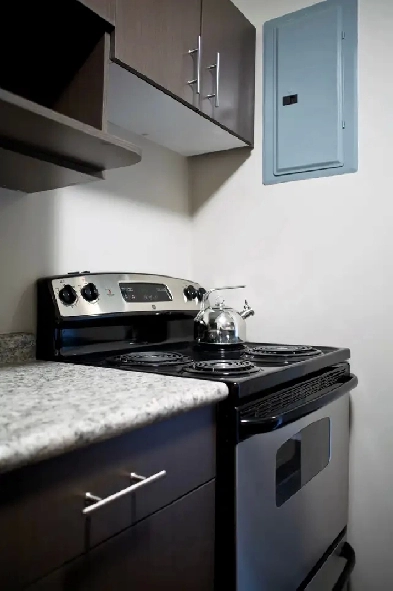 1 Bedroom Apartment Image# 1