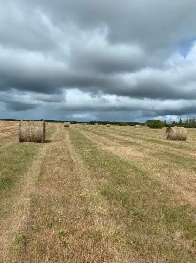 960 acres of farm and recreational land in Northern Manitoba Image# 1
