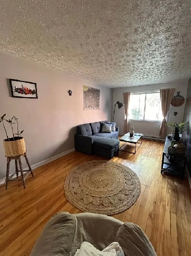 Appartement 4 1/2 Rue Masson (meublé ou non) Image# 1