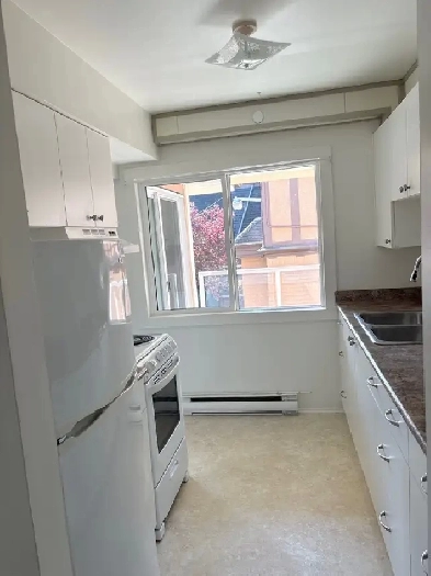 1 month free rent-2 bed 1 bath apartment in 55  building Image# 5