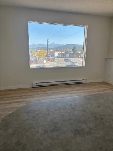 Gorgeous newly renovated 2 bedroom apartment for rent! Image# 1