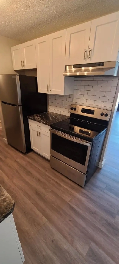 1 BEDROOM APARTMENT- QUIET BUILDING - PET FRIENDLY Image# 3