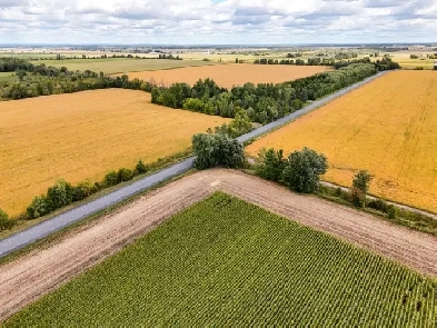 This Buildable lot is your Dream home site! 0.87 Acres Image# 4