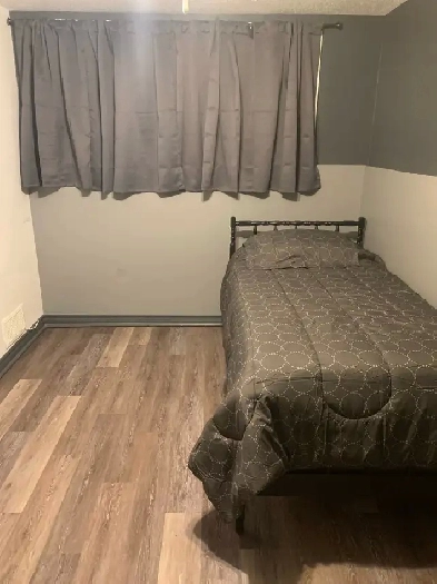 room for rent near Merivale & meadowlands Image# 1