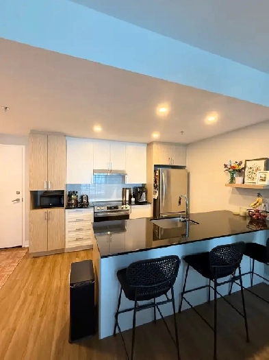 Cessation bail - 3 1/2 Candiac - Octobre Image# 1