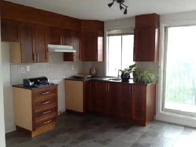 3 ½ rénové – HOMA - Métro Pie IX – 1er décembre Image# 1