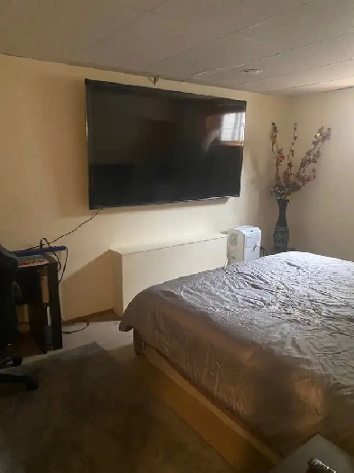 luxurious room in ottewel @375 per week Image# 1