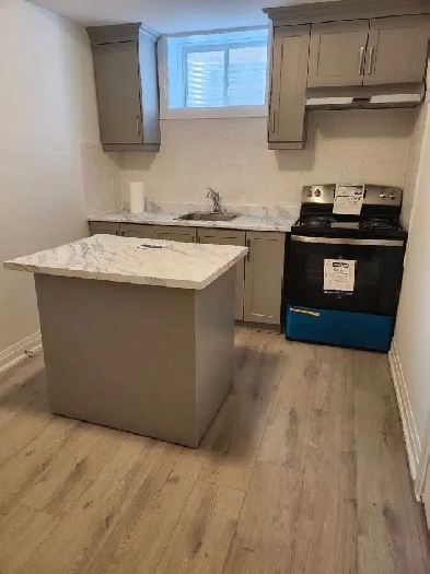 New Large 1 bedroom Basement Apartment Image# 1