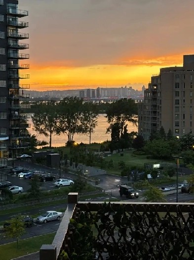 lease transfer - Condo 3 1/2 lumineux et moderne Image# 1