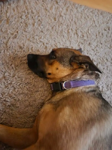 looking for a room to rent near nait Image# 1