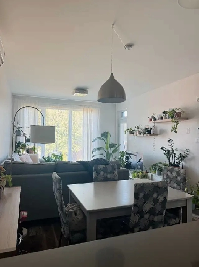 Appartement 3 1/2 à louer Image# 1